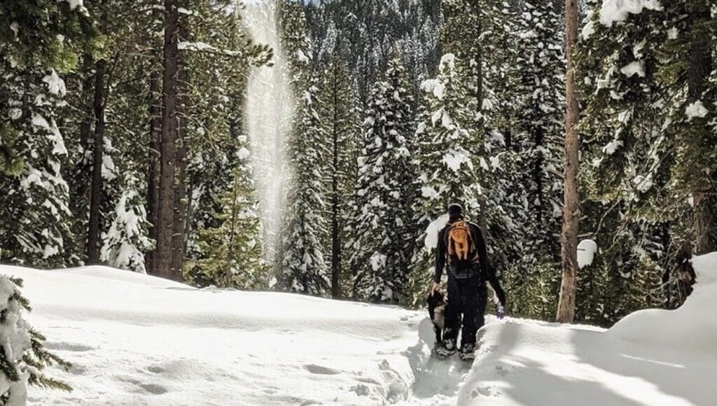Tahoe City Introductory Snowshoe Tour