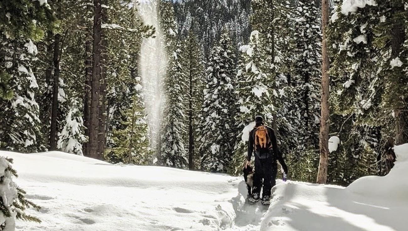 Travel Tahoe : Lake Tahoe Activates : Craft Your Tahoe Escape - Snowshoe Private Tour