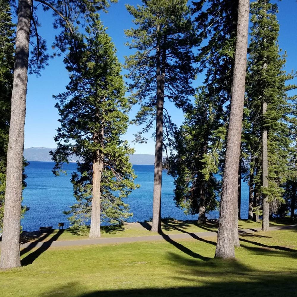 Travel Tahoe – Beaches – Sugar Pine
