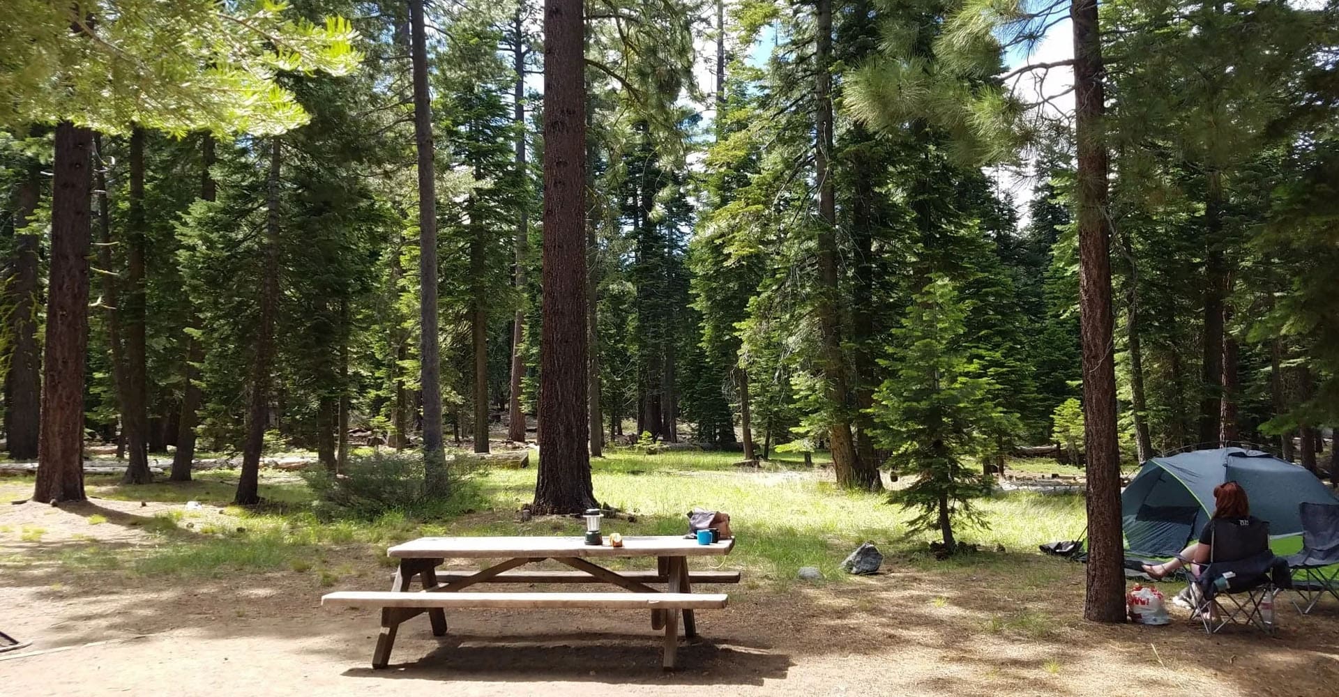 Sugar Pine Point State Park Campground Lake Tahoe