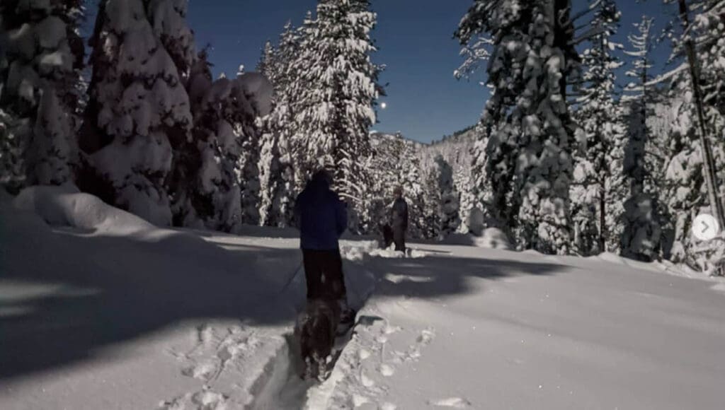 Moonlight Snowshoe Tour