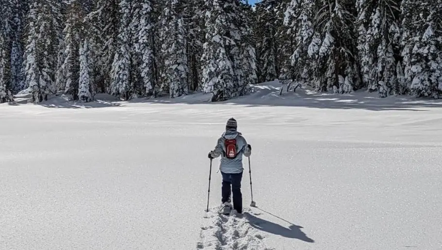 Lake Tahoe Snowshoe Tour Hike Lake Tahoe Snowshoe Tour Hike