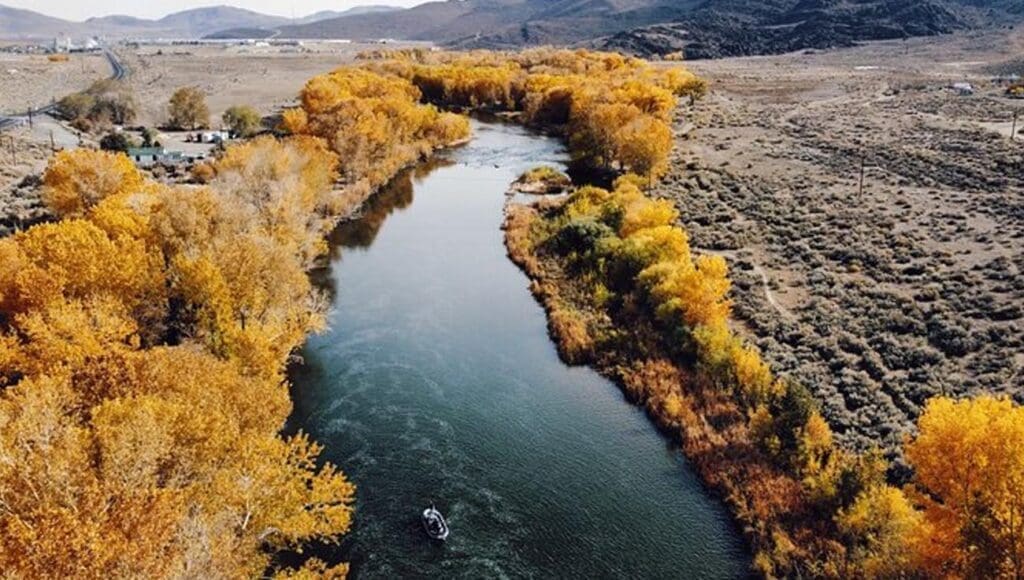 Guided Fly Fishing on Truckee River
